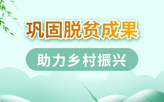 巩固脱贫成果 助力乡村振兴