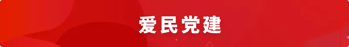 爱民党建
