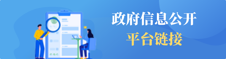 政府信息公开平台链接